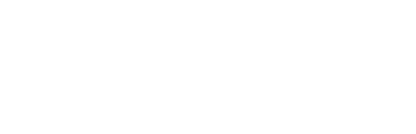 https://pikexdigital.com/wp-content/uploads/2025/12/pronto_management_consultants_logo_white.png